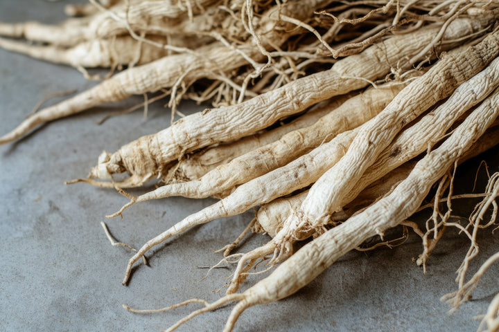 Eleuthero Root: The Original Adaptogen for Energy & Immunity