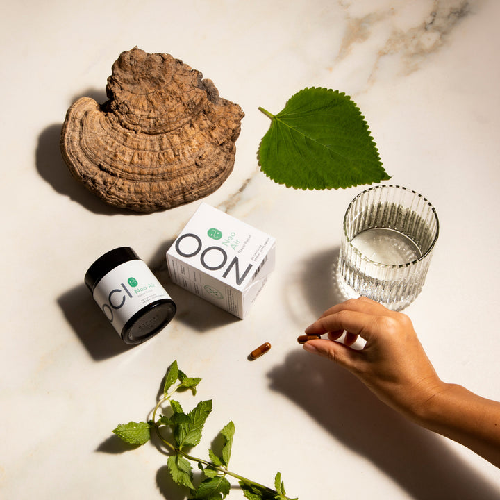 Noo Air: A Breath of Fresh Air For All Your Allergy Woes