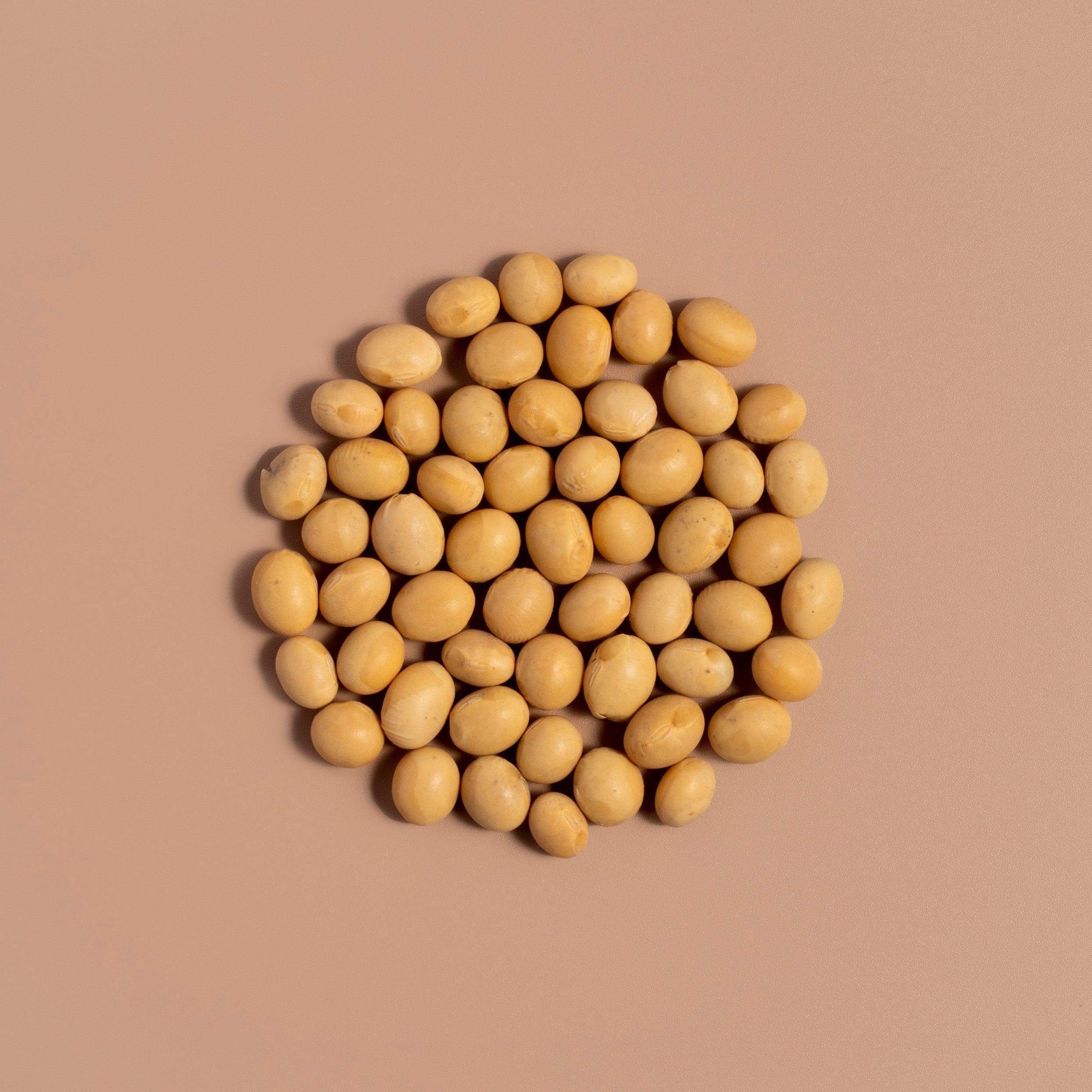 Fermented Soybean - NOOCI