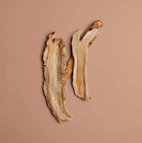 Platycodon Root - NOOCI