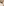CKN_8052_small.png
