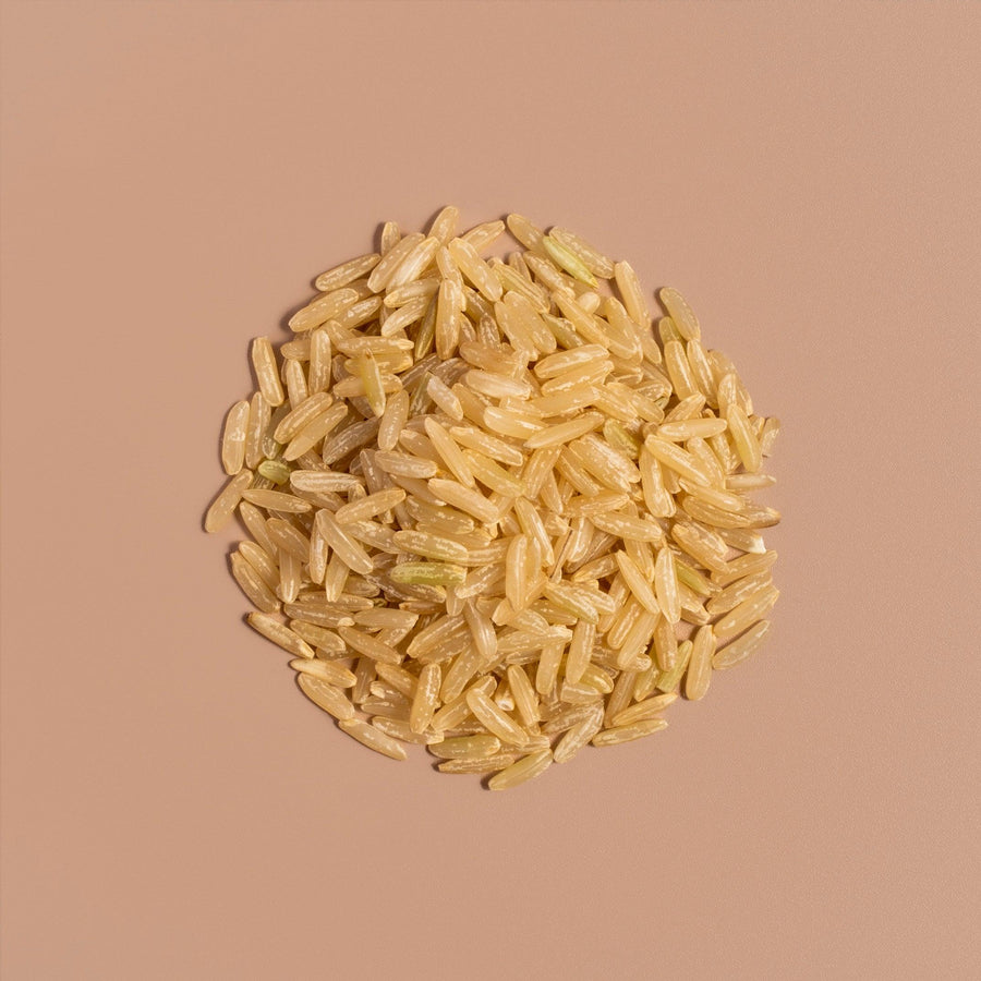 Fermented Brown Rice - NOOCI