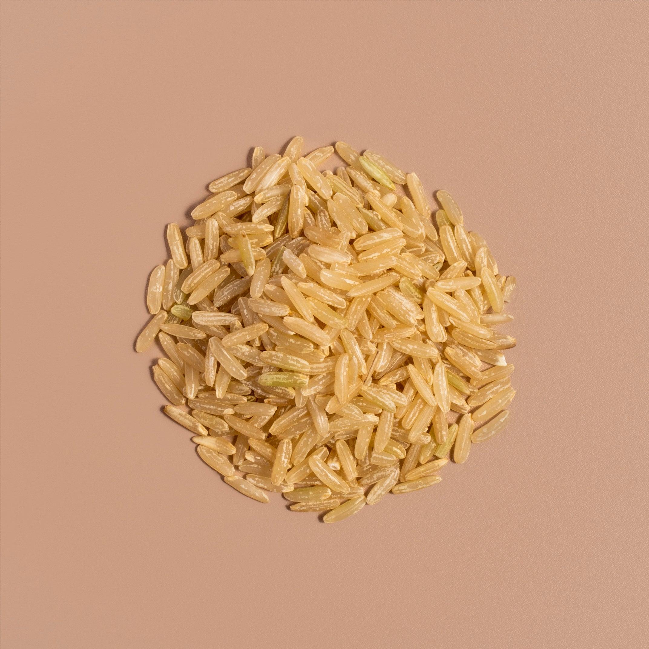 Fermented Brown Rice - NOOCI