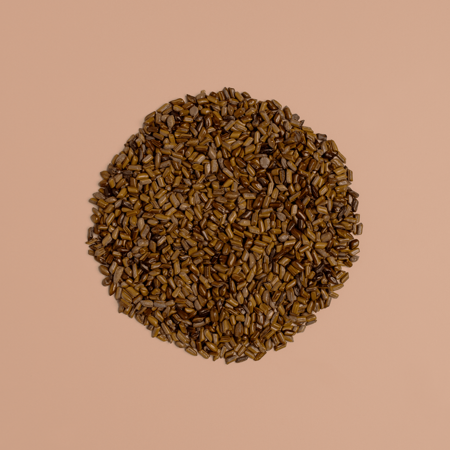 Cassia Seed - NOOCI