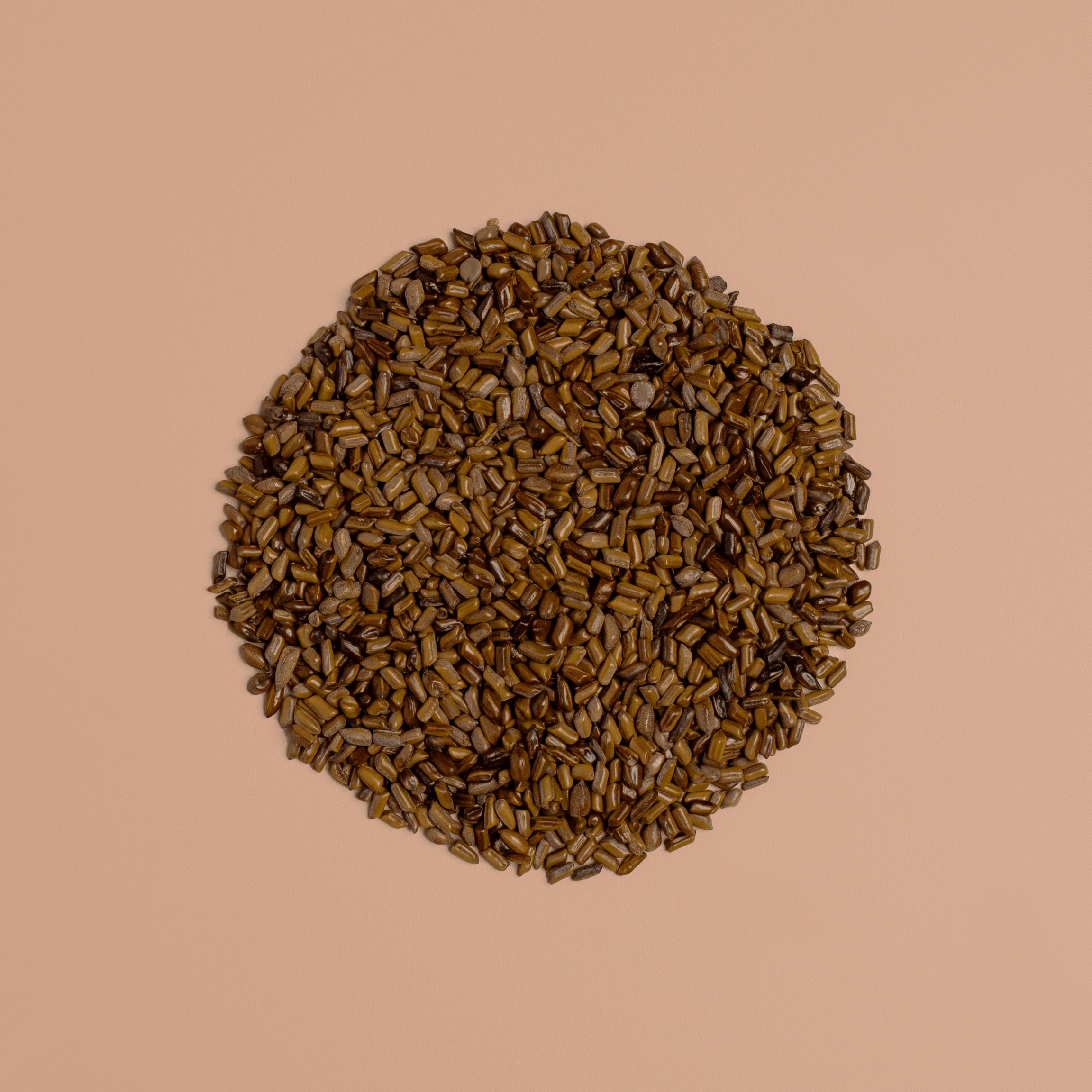 Cassia Seed - NOOCI