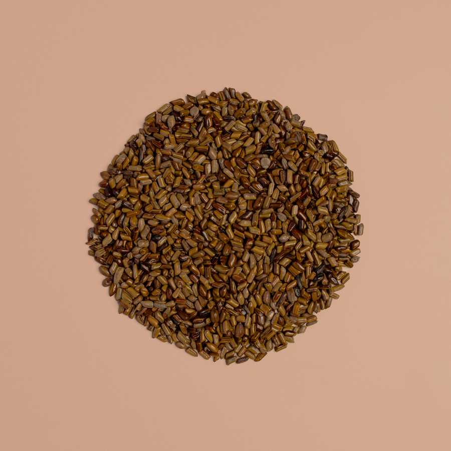 Fermented Coix Seed