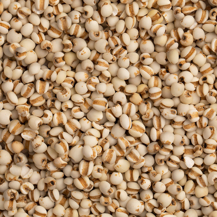 Why Coix Seed is the Next Superfood