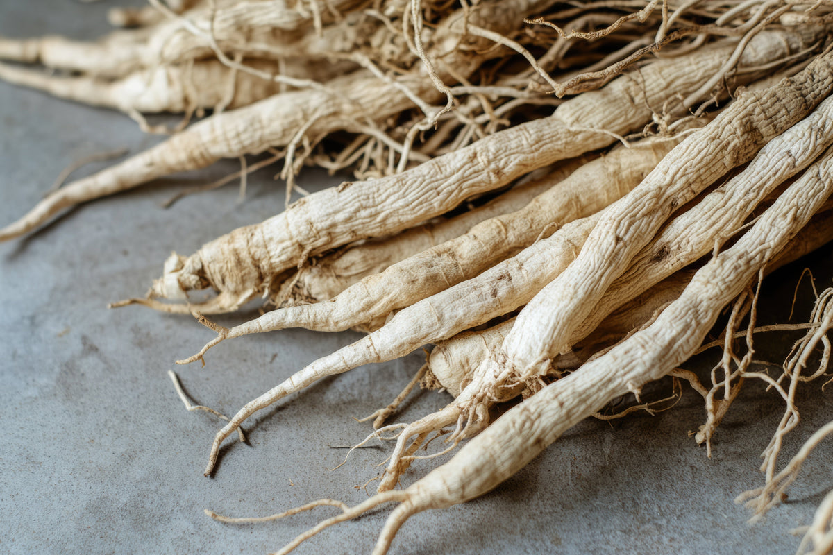 Eleuthero Root: The Original Adaptogen for Energy & Immunity