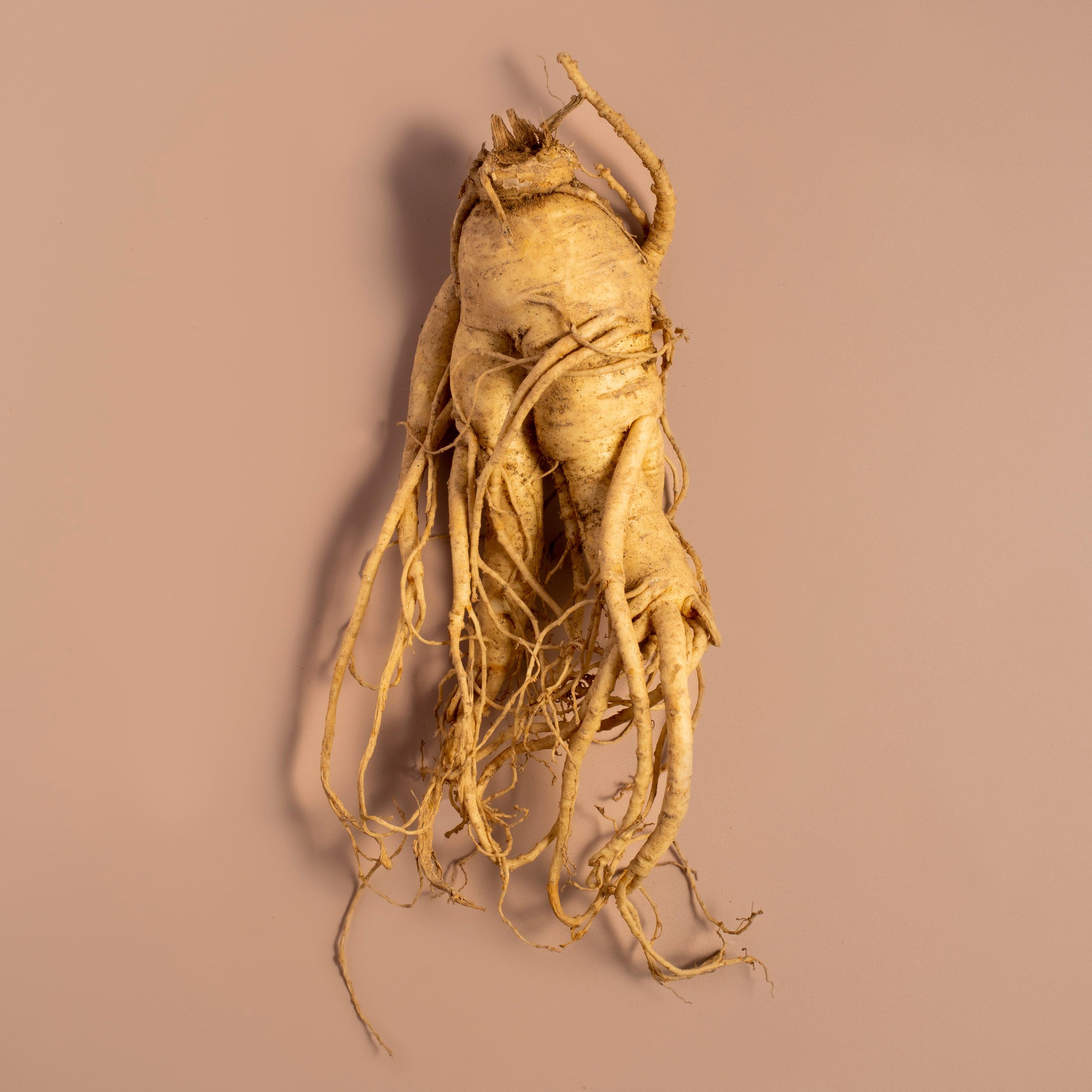 Ginseng