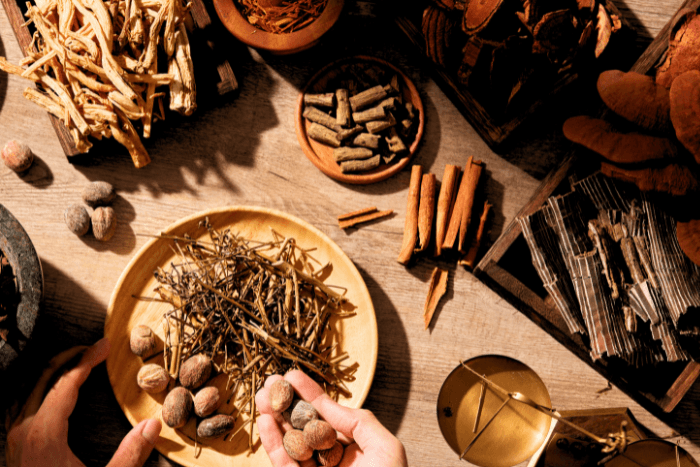 Reviving Your Gut Health Through Herbs - NOOCI