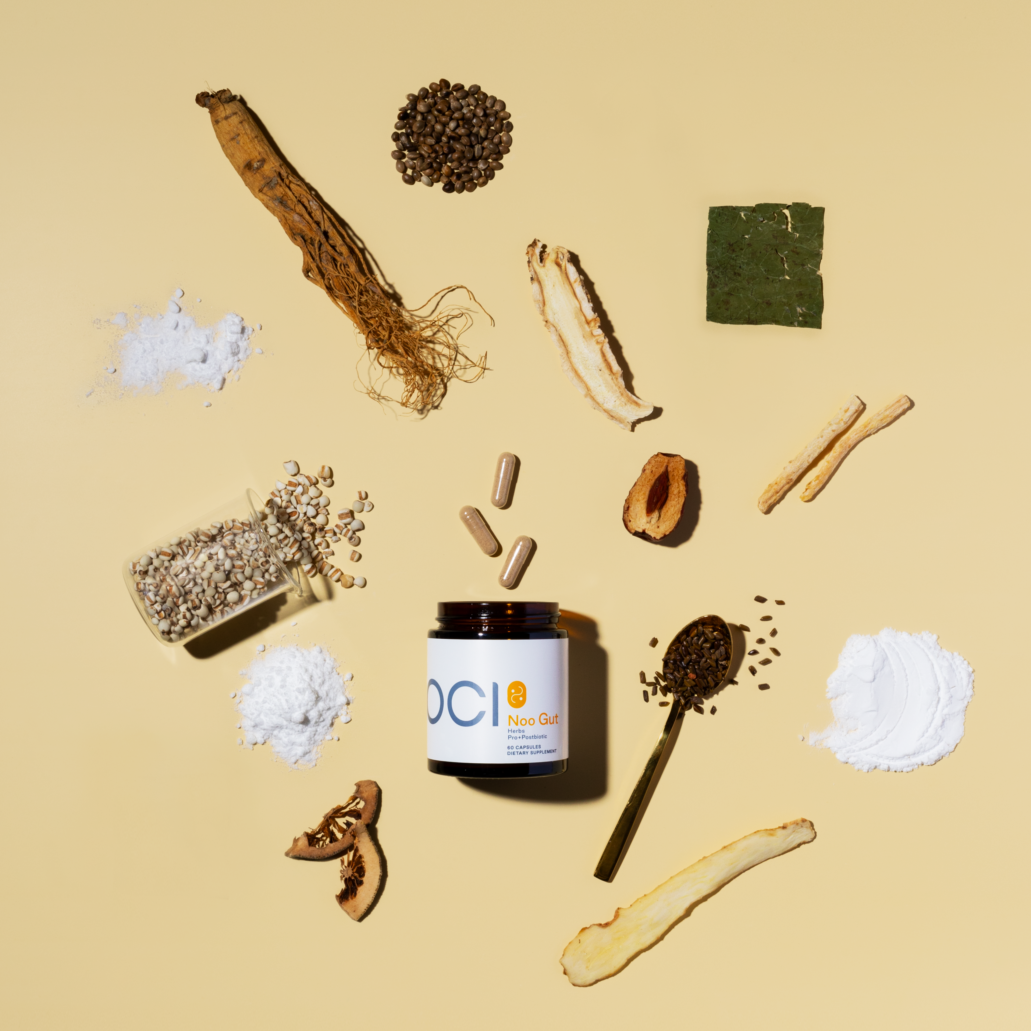 Noo Gut: A Synergistic Digestive Powerhouse