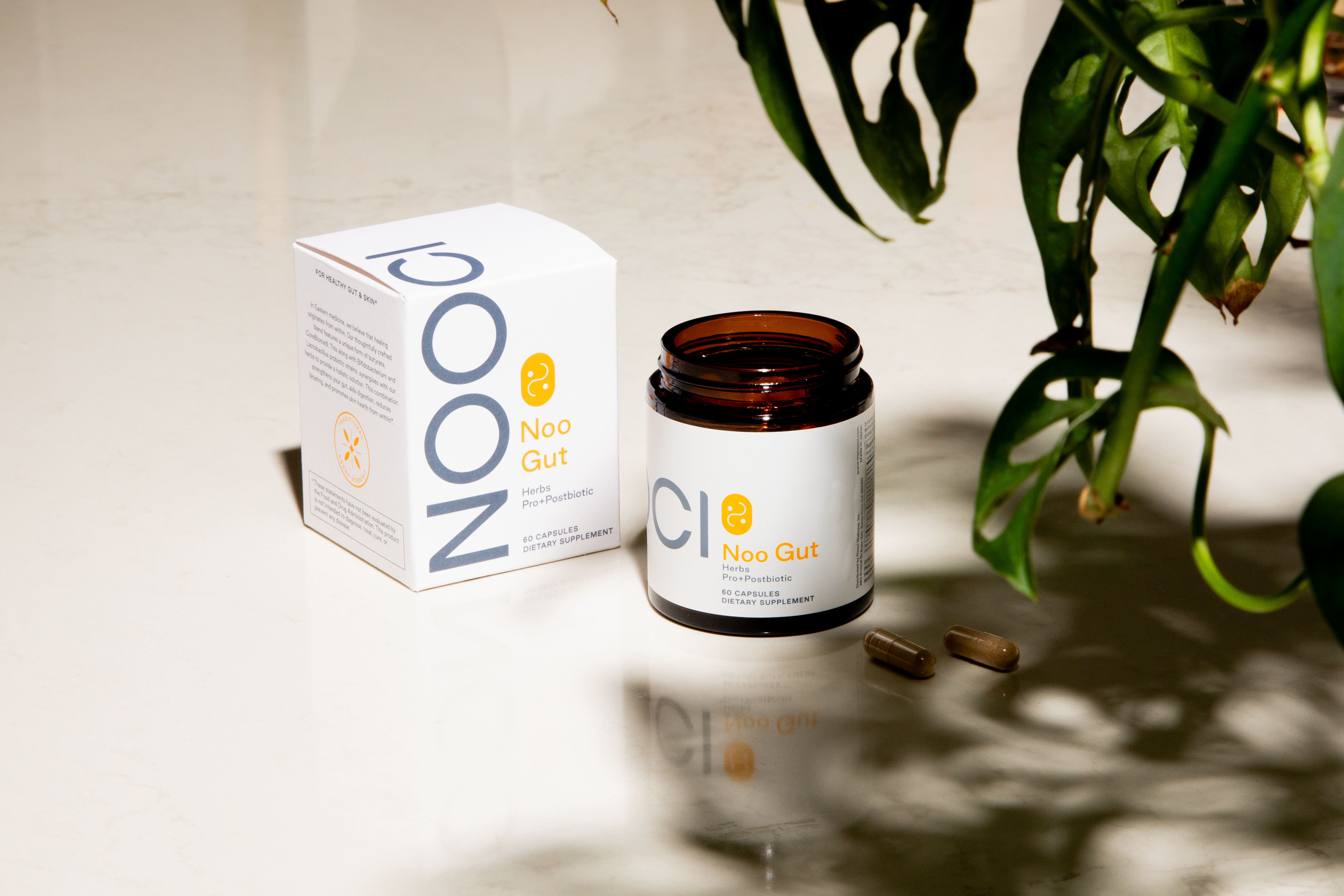 Unleash Your Best Self with Noo Gut: A Digestive Game Changer