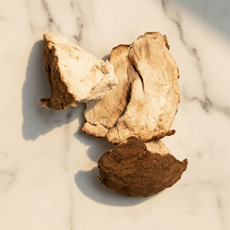 Poria Mushroom: The Ancient Mushroom for Better Sleep, Stress Relief & Immune Balance