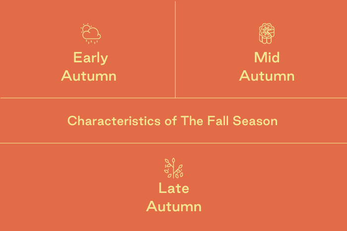 Autumn Bliss with TCM: Navigating Seasonal Wellness