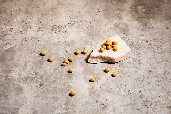 The Deal with Fermented Foods and Your Health
